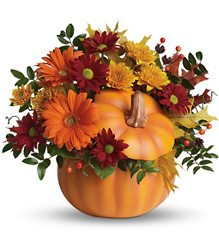 Teleflora's Country Pumpkin from Nate's Flowers in Casper, WY